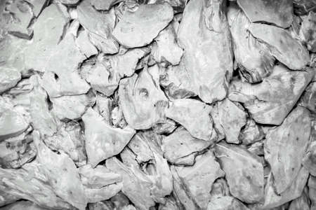 Wood skin with cracked line patterns for white grey backgroundの写真素材