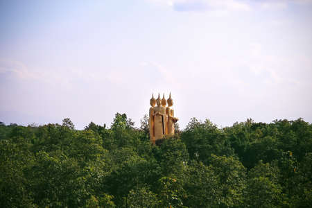 Green leaf stucco with seamless patterns abstract backgroundの写真素材