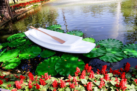 Single white boat and wood paddle moored  in water pond with green leaf lotus  and red salvia flowers at park backgroundの写真素材