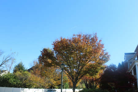 USA Natural View