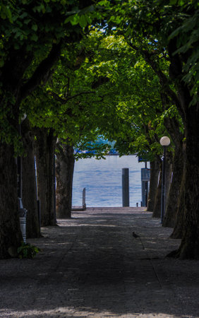 View of the embankment of Lake Zug in Switzeland.の写真素材