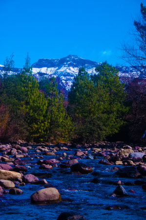 Mountain river with rocks in the foreground and forest in the backgroundの写真素材