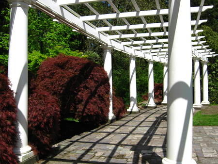 pergola with avenueの写真素材