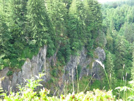 cliffs with treesの写真素材