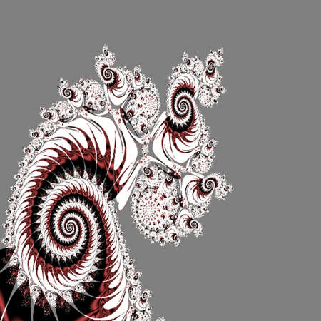 Nautilus