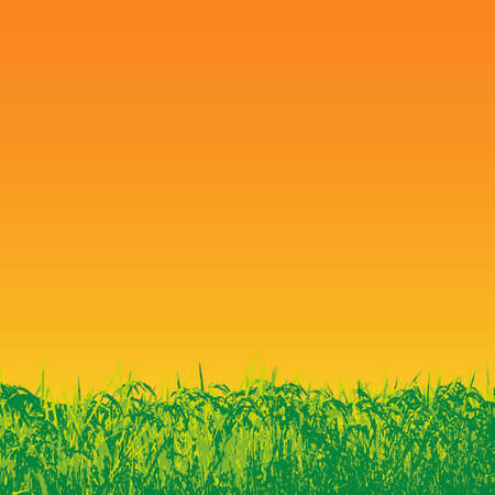 rice fieldsのイラスト素材