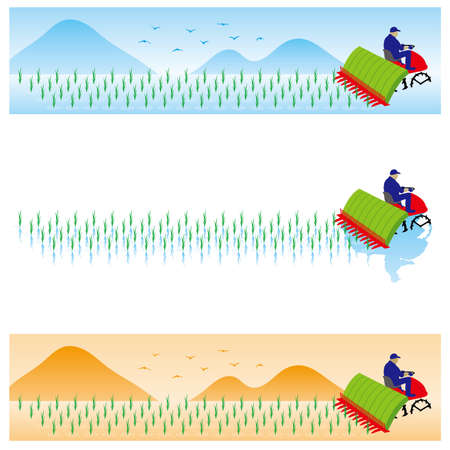 Rice-plantingのイラスト素材
