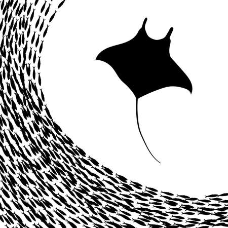 Sardines swimming besides a stingray.のイラスト素材