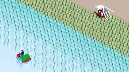 Rice planting and rice reapingのイラスト素材