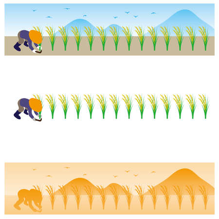 Rice reaping work in autumnのイラスト素材