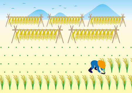 Rice reaping work in autumnのイラスト素材