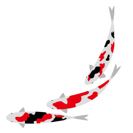 Synchronized swimming of carp icon.のイラスト素材