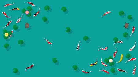 Carp and turtle swimming in lotus pondのイラスト素材