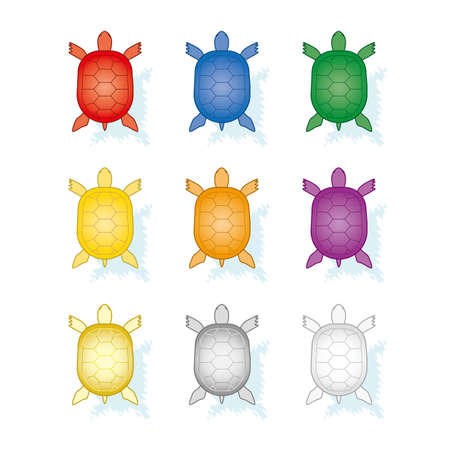 9 color feng shui turtlesのイラスト素材