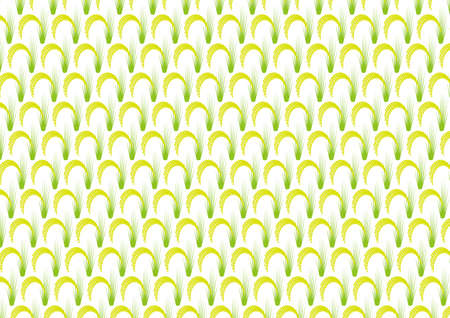 Rice field before harvestのイラスト素材