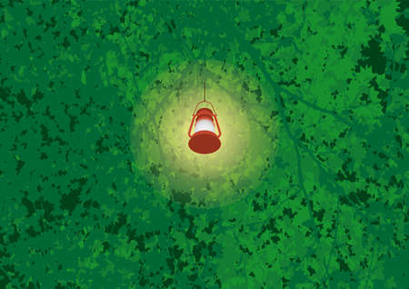 Lantern that illuminates the forestのイラスト素材
