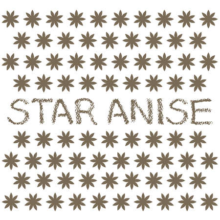 Illustration of star aniseのイラスト素材