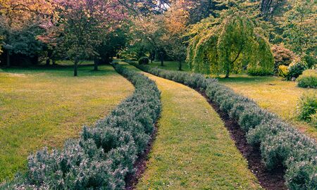 Doganella nymphの写真素材