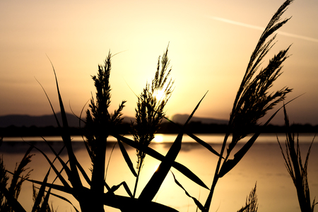 sunriseの写真素材