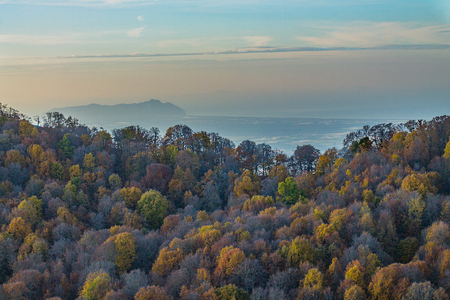 Autumn colorsの写真素材