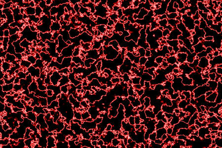 Red Electric lighting, Abstract backgroundの写真素材