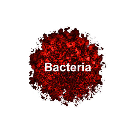 Bacteriaの写真素材