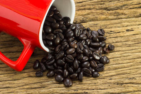 Coffee beans with in coffee cup on wooden background.の写真素材