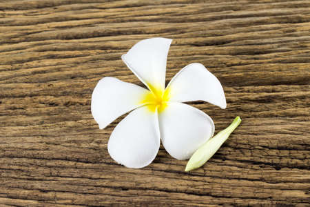 Plumeria on old wooden background.の写真素材