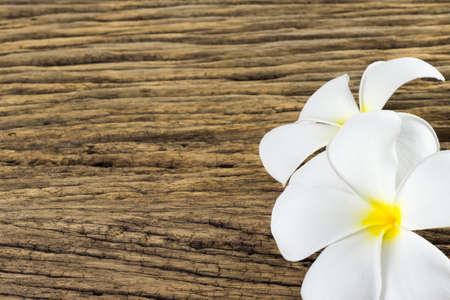 Plumeria on old wooden background.の写真素材
