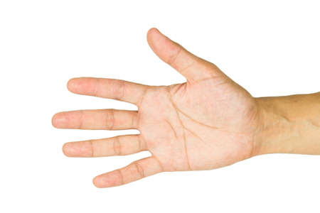 Female hand on the isolated background.の写真素材