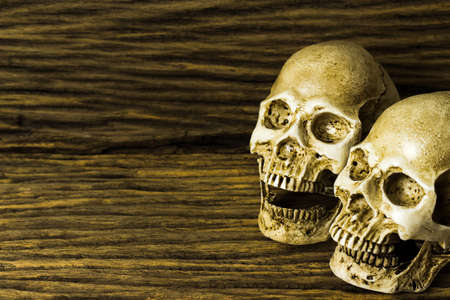 Human skull on old wood background ; still-life.の写真素材