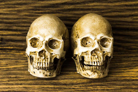 Human skull on old wood background ; still-life.の写真素材