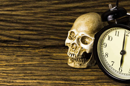 Human skull on old wood background ; still-life.の写真素材