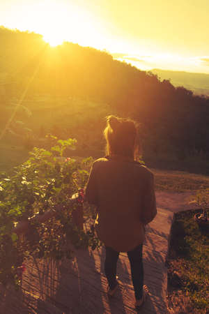 Rear view of young woman with sunset.の写真素材