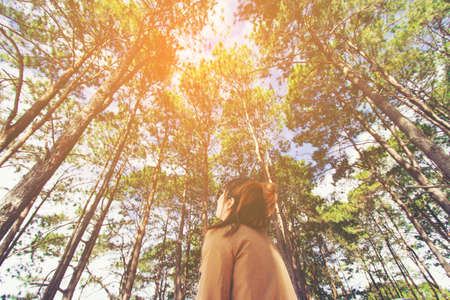 Rear view of young woman look sky in Pine forest.の写真素材