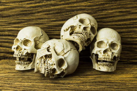 Genocides, Skull on wooden background / Still life style.の写真素材