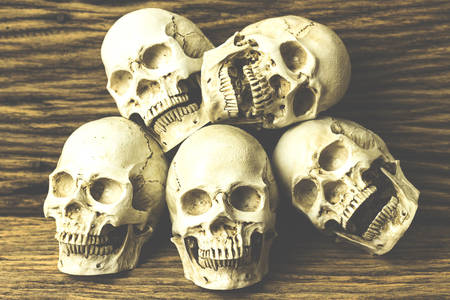 Genocides, Skull on wooden background / Still life style.の写真素材