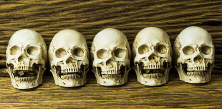 Genocides, Skull on wooden background / Still life style.の写真素材