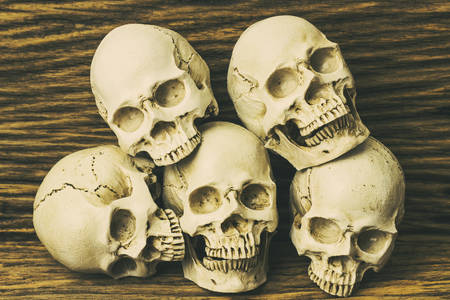 Skulls on wooden backgroundの写真素材