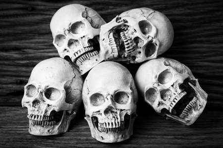 Genocides, Skull on wooden background / Still life style / Black and White.の写真素材