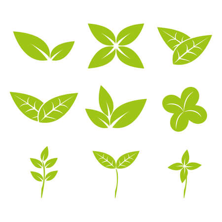 Green leaf plant icon eco design, Vector illustration EPS10.のイラスト素材