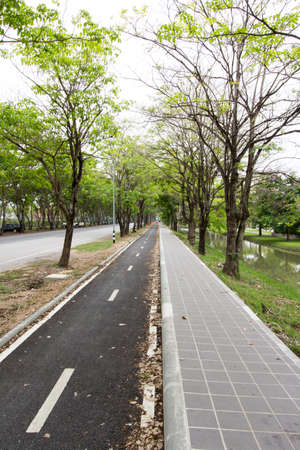 Bike path, walk road and white lines with green tree.の写真素材