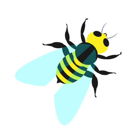 Bee isolated on white background, Flat designのイラスト素材