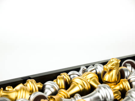 Gold and Silver King and Knight of chess piece background.の写真素材