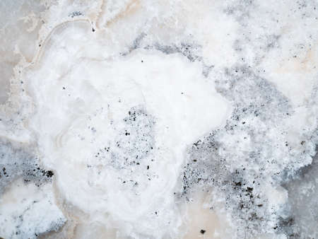 The surface of the light gray marble stone texture background. More then a million years old.の写真素材