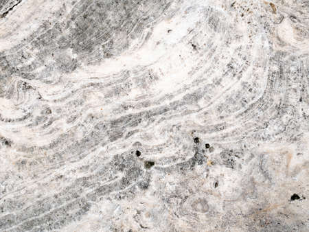 The surface of the light gray marble stone texture background. More then a million years old.の写真素材