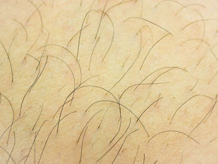 Close-up human skin with hair.の写真素材