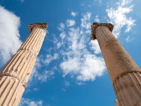 Ruins of the ancient city Ephesus, the ancient Greek city in Turkey, in a beautiful summer day.のeditorial素材