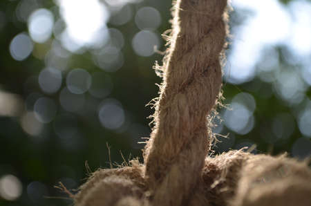 unity is strength の写真素材