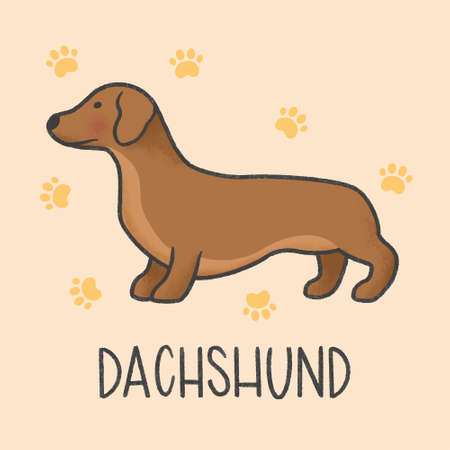 Cute Dachshund cartoon hand drawn styleのイラスト素材